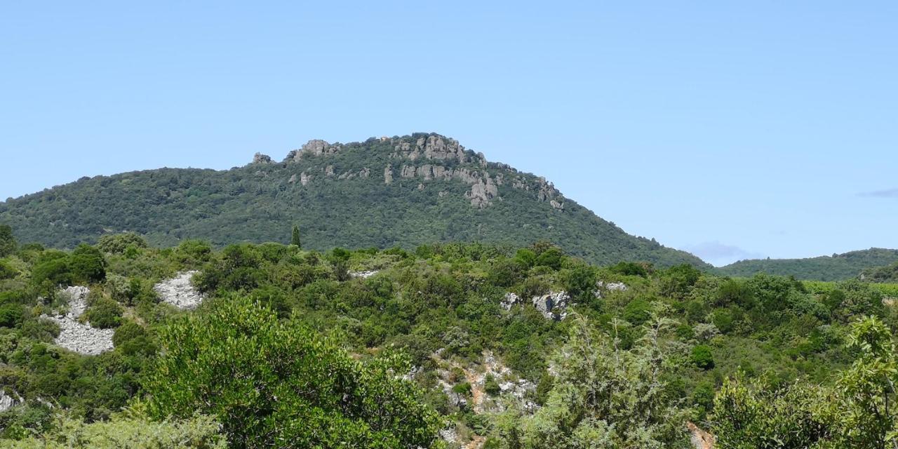 Le Mimosa Bed and Breakfast Saint-Saturnin-de-Lucian Exteriör bild