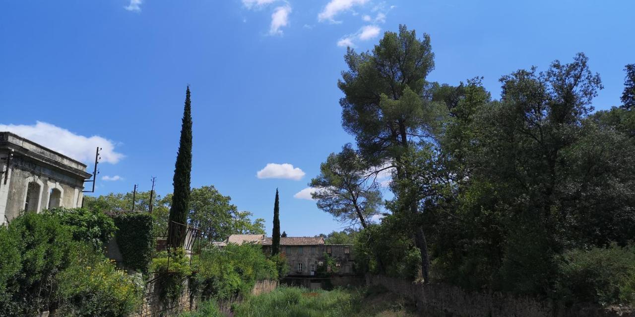 Le Mimosa Bed and Breakfast Saint-Saturnin-de-Lucian Exteriör bild