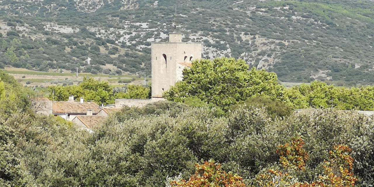 Le Mimosa Bed and Breakfast Saint-Saturnin-de-Lucian Exteriör bild