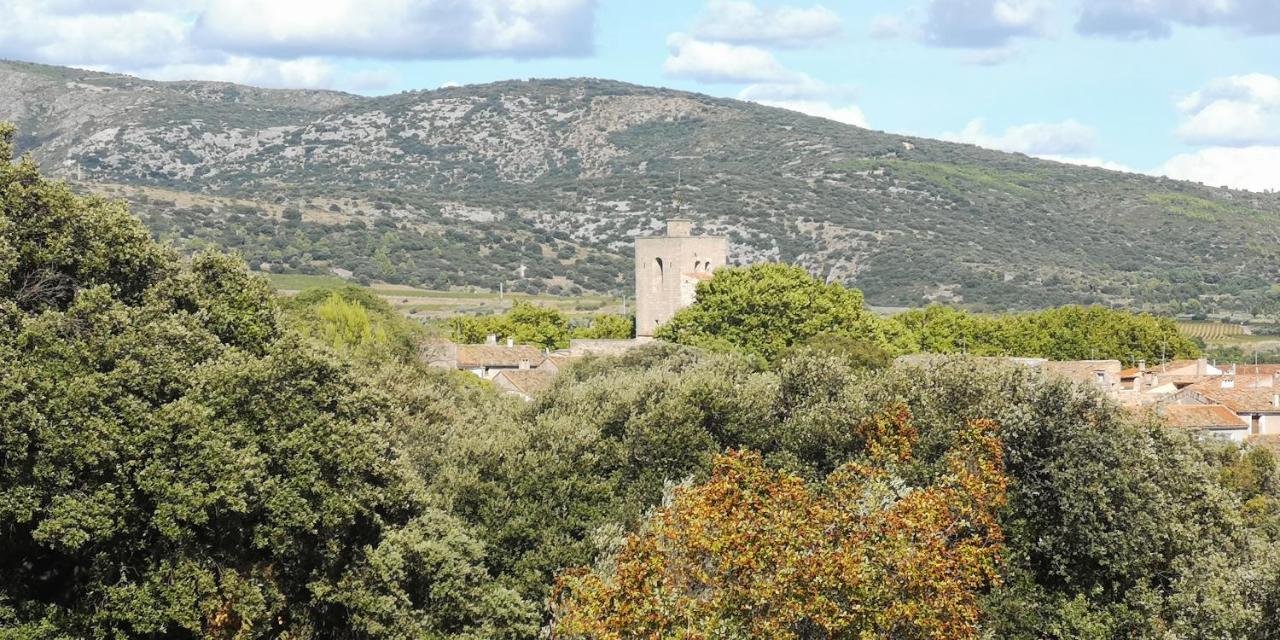 Le Mimosa Bed and Breakfast Saint-Saturnin-de-Lucian Exteriör bild