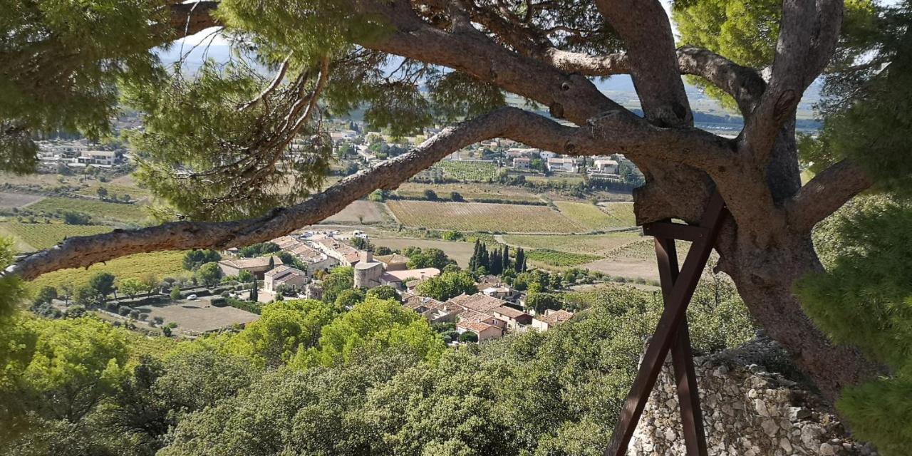 Le Mimosa Bed and Breakfast Saint-Saturnin-de-Lucian Exteriör bild