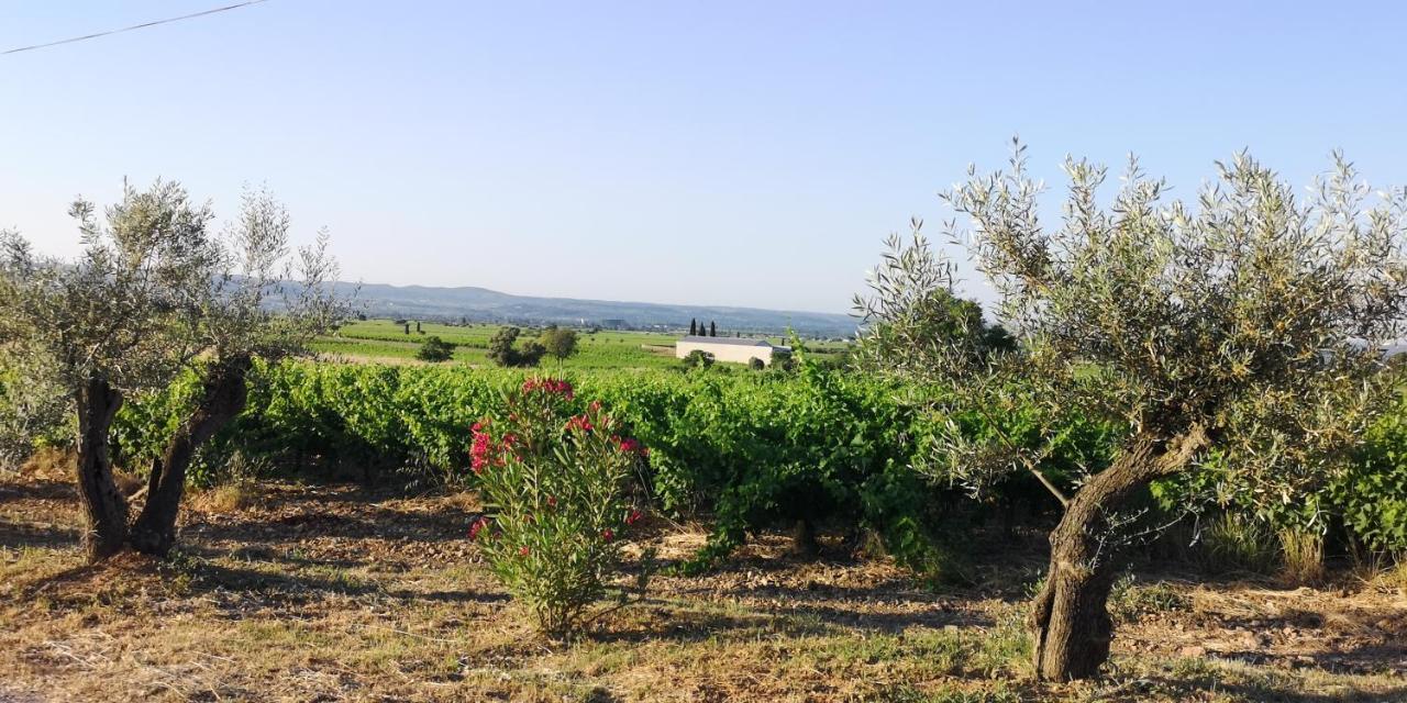 Le Mimosa Bed and Breakfast Saint-Saturnin-de-Lucian Exteriör bild