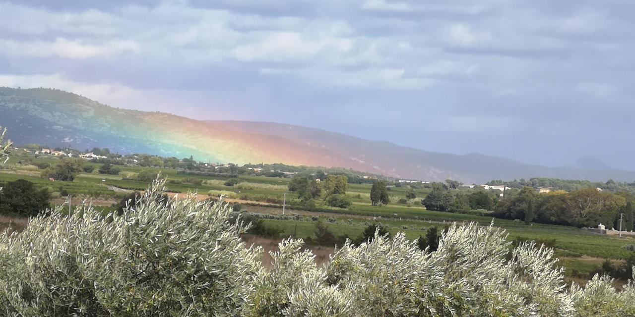 Le Mimosa Bed and Breakfast Saint-Saturnin-de-Lucian Exteriör bild