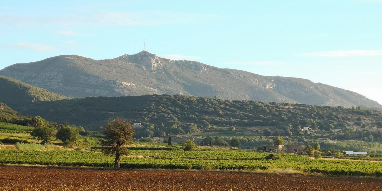 Le Mimosa Bed and Breakfast Saint-Saturnin-de-Lucian Exteriör bild