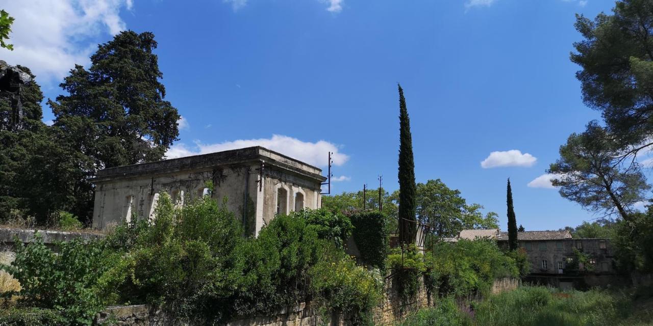 Le Mimosa Bed and Breakfast Saint-Saturnin-de-Lucian Exteriör bild